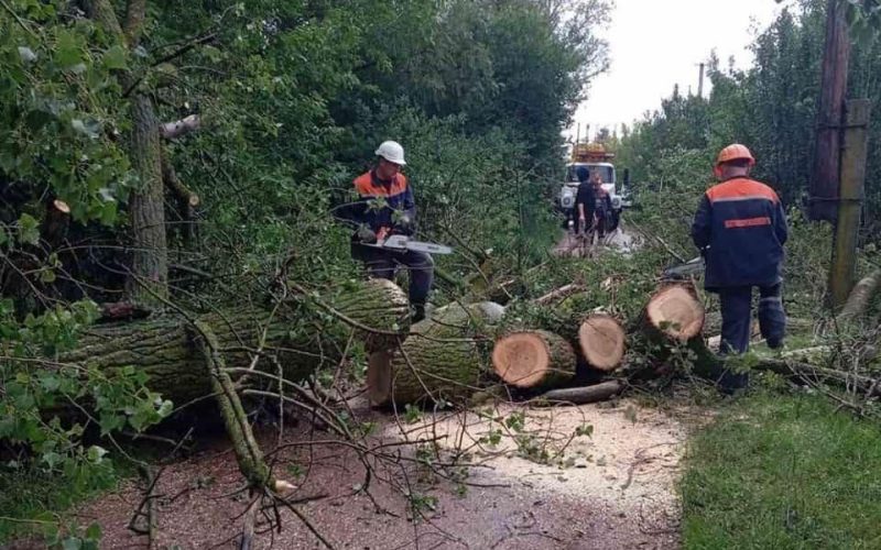 На території Малинської громади через негоду найбільше в області знеструмлень населених пунктів