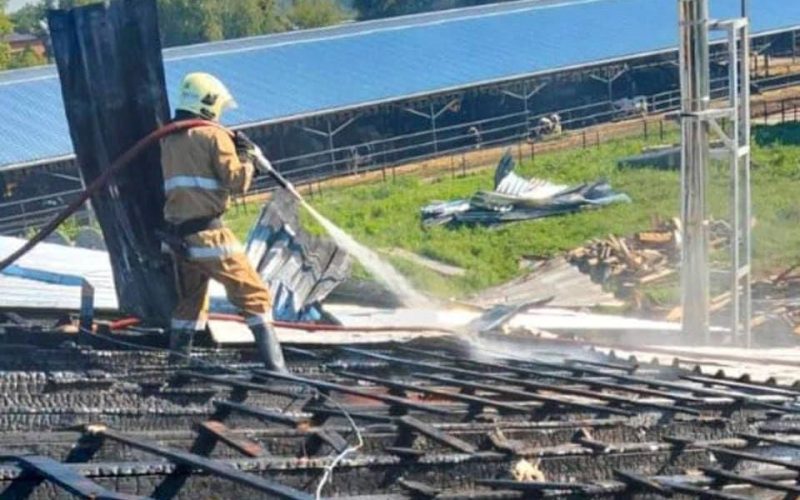 Через пожежу в селі Народицької громади з ферми евакуювали майже сотню корів