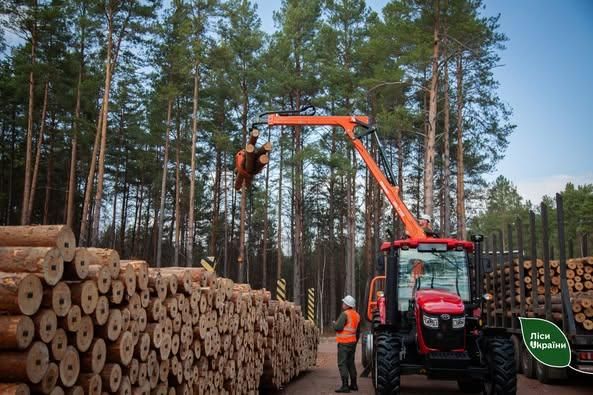 У Коростенському надлісництві затримали вантажівку з соснами, а в Овруцькому – трьох осіб з бензопилами