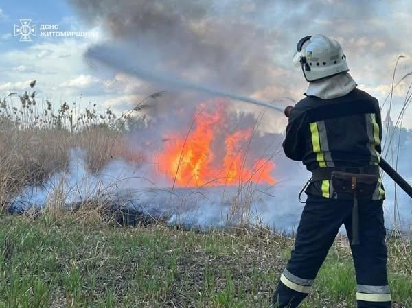 У селі Коростенського району горів сухостій: вогонь ледь не перекинувся на оселі, розташовані поруч