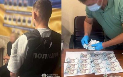 Жителька Коростенського району пропонувала поліцейському 20 тис. грн за вантаж з деревиною, на який не було дозволів