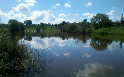 На водоймі в селі Овруцької громади потонув 39-річний чоловік