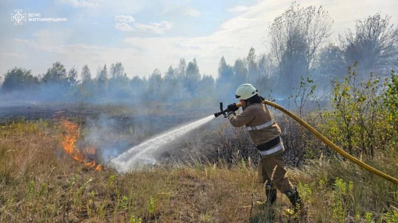 Поблизу Коростеня та сусідньої громади рятувальники ліквідовували займання сухостою
