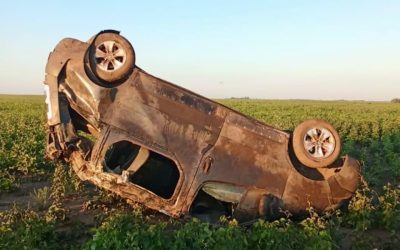 На Житомирщині мікроавтобус перекинувся після з’їзду з дороги: загинув 27-річний водій