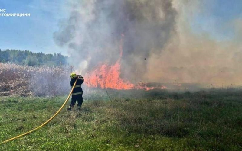 У Коростенському та Житомирському районах рятувальники тричі виїжджали на гасіння сухостою