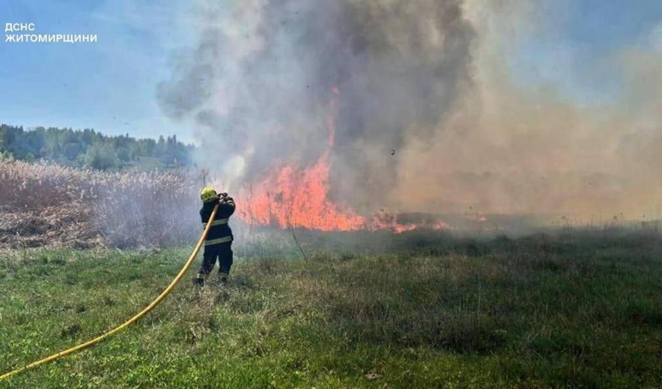 У Коростенському та Житомирському районах рятувальники тричі виїжджали на гасіння сухостою