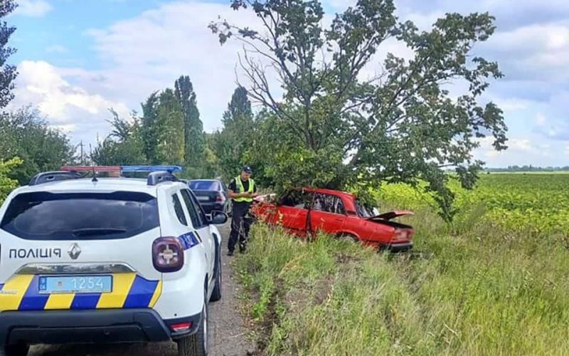На Житомирщині водій ВАЗу не впорався з керуванням та врізався в дерево: постраждав керманич та його однорічний син
