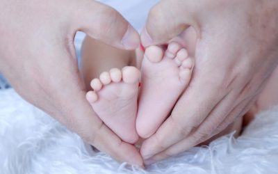 Цього місяця на Житомирщині народилось понад 500 немовлят