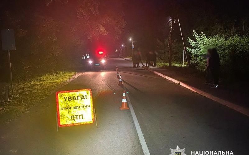 У місті Житомирської області Daewoo збив 11-річну дівчинку та зник з місця ДТП: поліцейські розшукують водія
