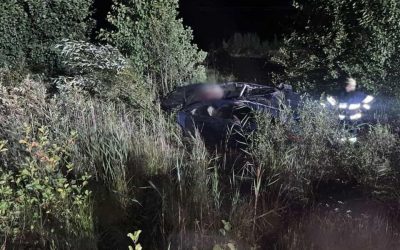 На трасі в Житомирській області через ДТП із лосем загинула жінка та двоє людей травмовано