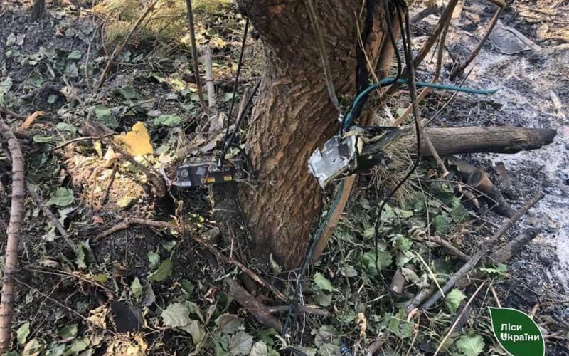 В одному з лісництв Житомирщини через падіння уламків дронів сталася пожежа
