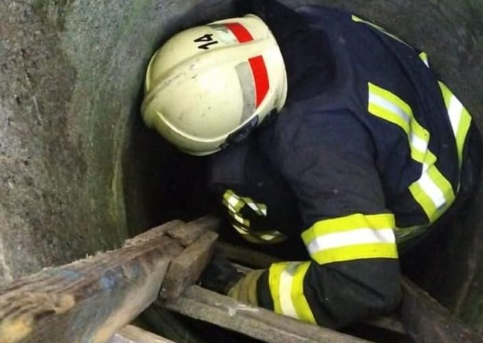 У селі Народицької громади рятувальники дістали собаку, який впав у колодязь