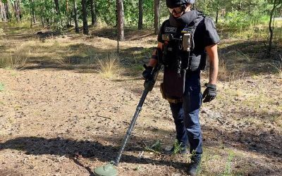 У лісі поблизу Малина місцеві жителі знайшли гранату