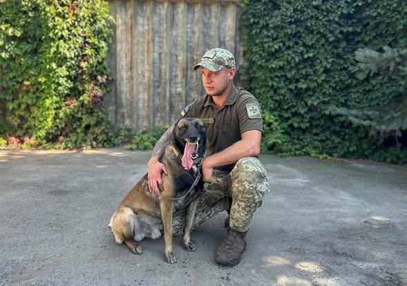 Як прикордонники Житомирщини вдосконалюють підготовку мінно-розшукових собак