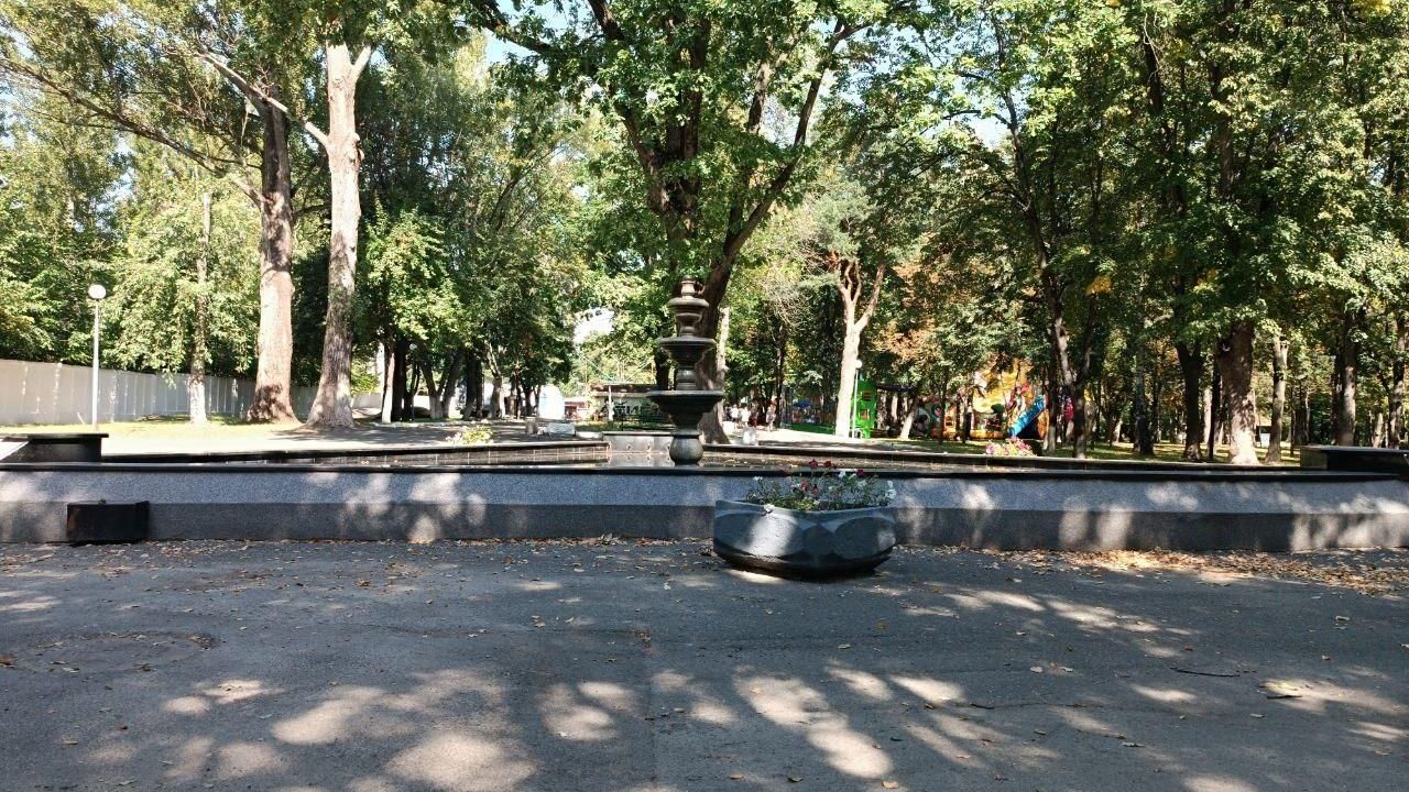 У Малині розшукали не тверезого водія, який причетний до ДТП у місцевому парку