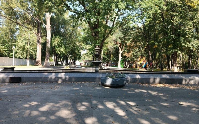 У Малині розшукали не тверезого водія, який причетний до ДТП у місцевому парку