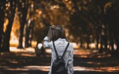 На Овруччині розшукують неповнолітню Діану Кобилинську