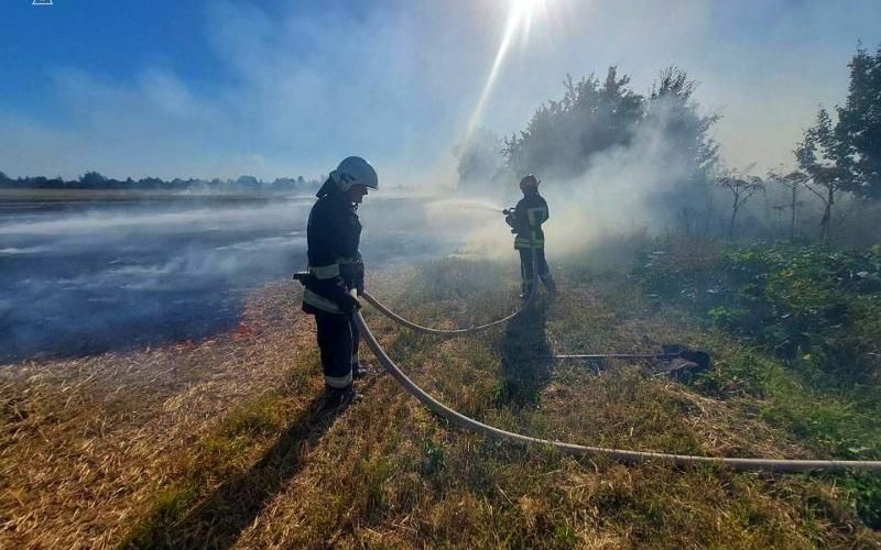 У Коростенському та Бердичівському районах вогонь знищив понад 4 га території