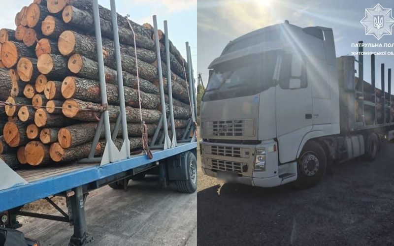 Минулого тижня патрульні виявили майже десяток випадків незаконного перевезення деревини територію Житомирщини