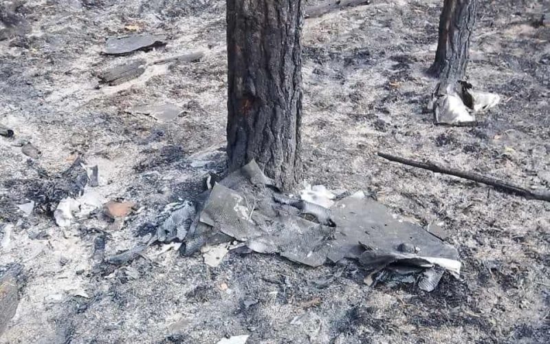 Через падіння дрона у лісі на Коростенщині спалахнула пожежа