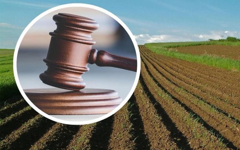 Чоповицькій громаді через суд повернули 100 га землі, які незаконно передали в суборенду