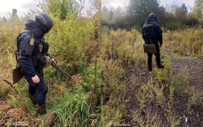 Під час земельних робіт у полі коростенці виявили артилерійські снаряди