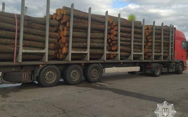На автодорозі в Коростенському районі патрульні зупинили DAF: водій перевозив деревину без належних документів