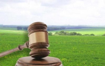 Незаконно передали під мисливські угіддя: на Житомирщині військовій частині повернуть понад 2 га земель
