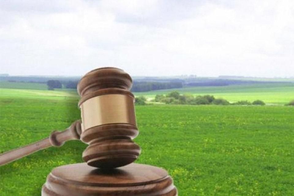 Незаконно передали під мисливські угіддя: на Житомирщині військовій частині повернуть понад 2 га земель