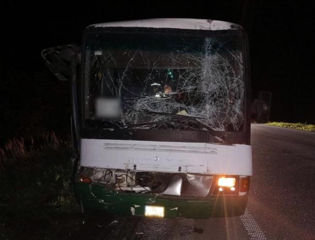 На автодорозі в Житомирській області автобус зіштовхнувся з вантажівкою: один водій постраждав