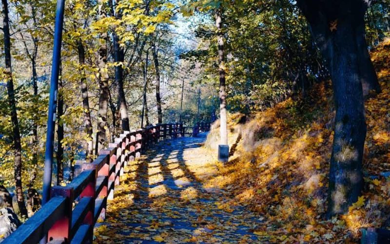 Синоптики попереджають жителів Житомирщини про заморозки