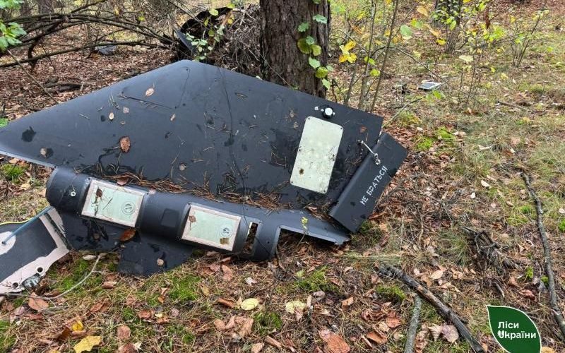 У Коростенському районі лісова охорона виявила уламки “Шахеда”