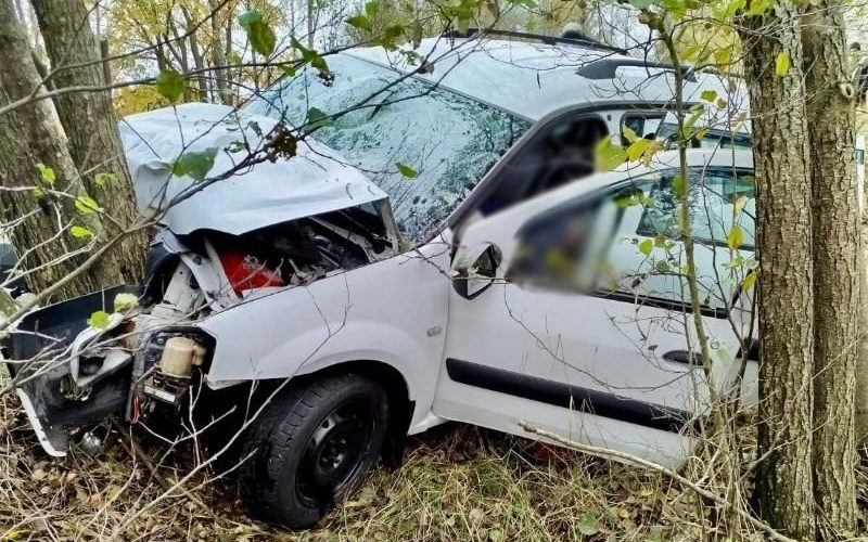 Поблизу Олевська водій на Dacia з’їхав у кювет та врізався в дерево: чоловік загинув