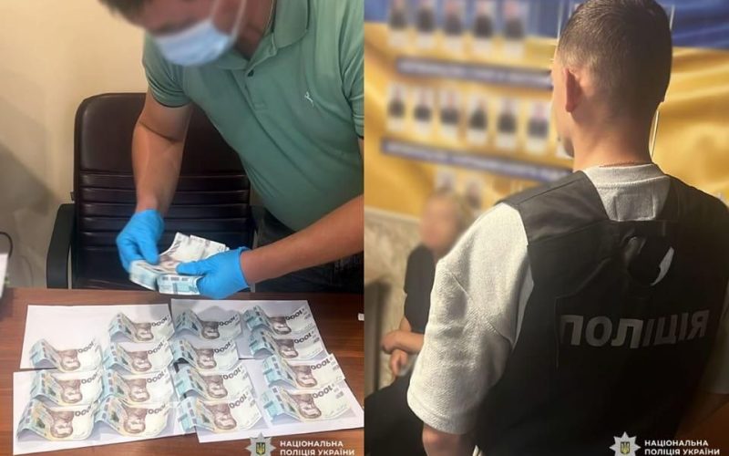 Власниця вантажівки з Коростенського району, яка хотіла відкупитися від правоохоронців, переказала гроші на ЗСУ та отримала іспитовий срок