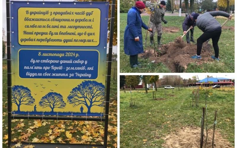 В Овручі дубовий гай поновили новими деревами