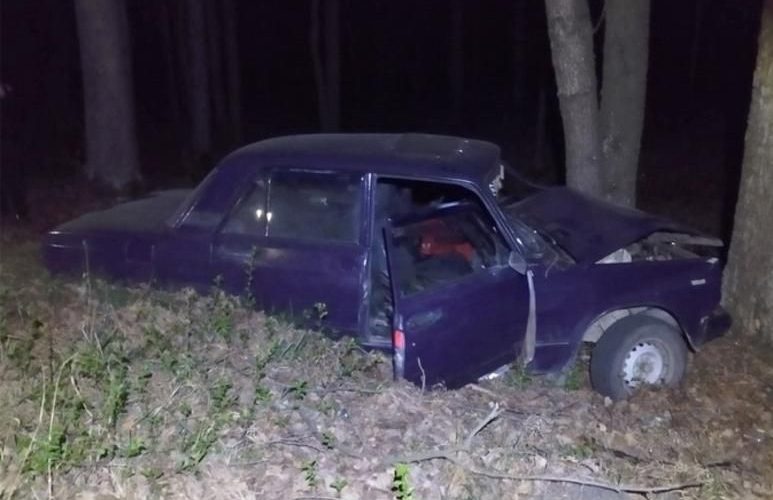 У Малині судили жінку, яка п’яна за кермом врізалась в дерево: у ДТП постраждала її донька