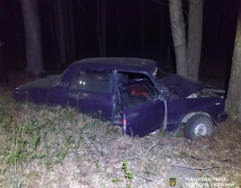 У Малині судили жінку, яка п’яна за кермом врізалась в дерево: у ДТП постраждала її донька