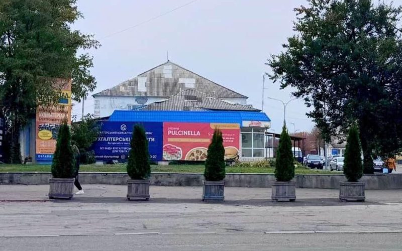 На майдані Соборному у Малині з’явилися туї