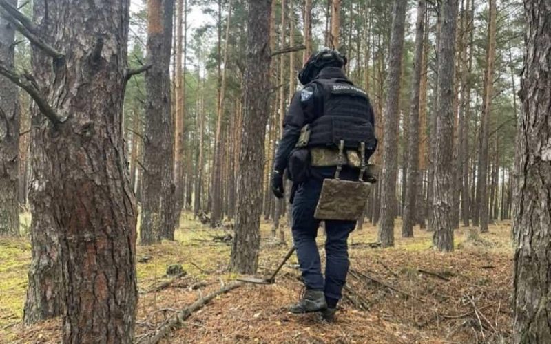 У лісі на Малинщині селяни виявили артилерійський снаряд