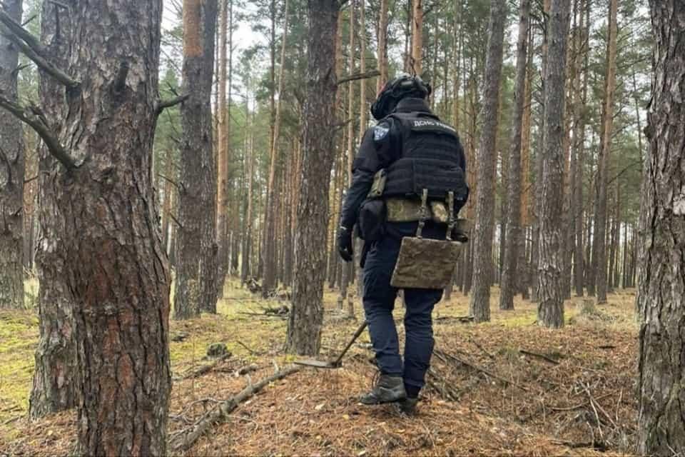 У лісі на Малинщині селяни виявили артилерійський снаряд