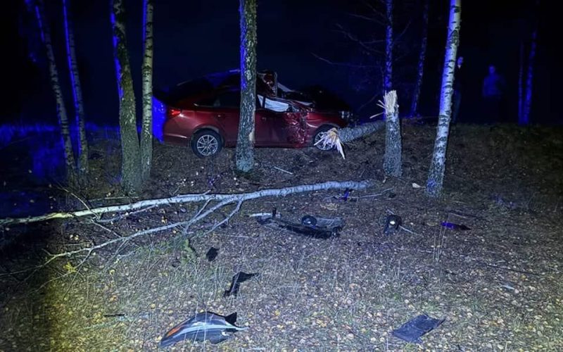 Поблизу Ушомира киянин на Hyundai з’їхав у кювет та врізався в дерево: потерпілого госпіталізували