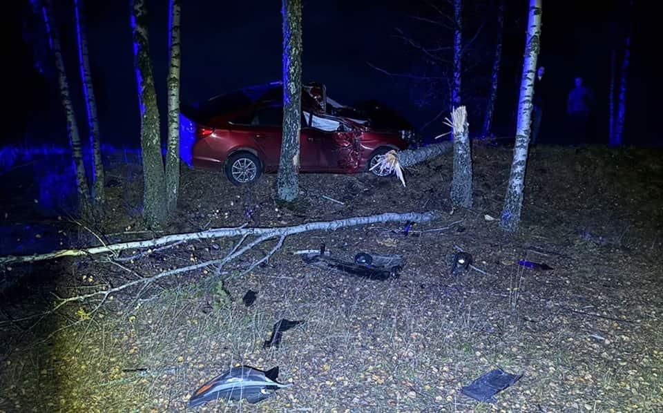 Поблизу Ушомира киянин на Hyundai з’їхав у кювет та врізався в дерево: потерпілого госпіталізували
