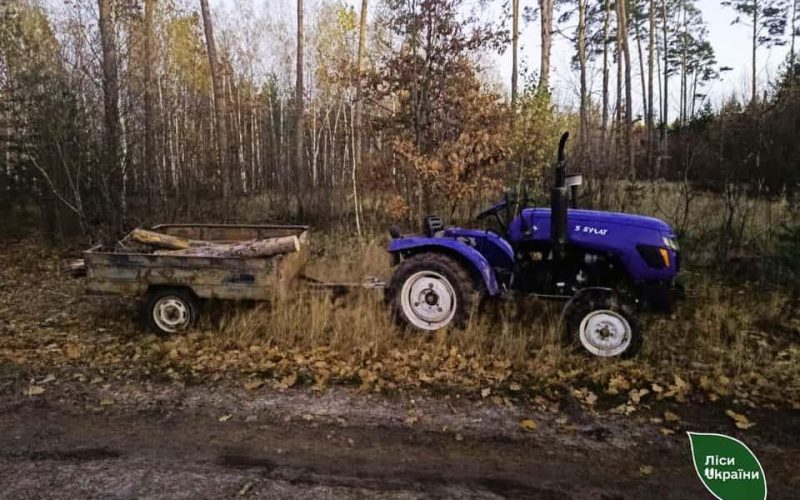 В одному з лісництв Житомирщини дерево впало на чоловіка, який незаконно рубав деревину