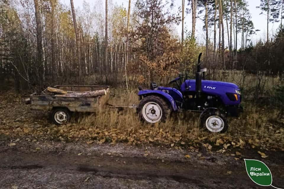 В одному з лісництв Житомирщини дерево впало на чоловіка, який незаконно рубав деревину