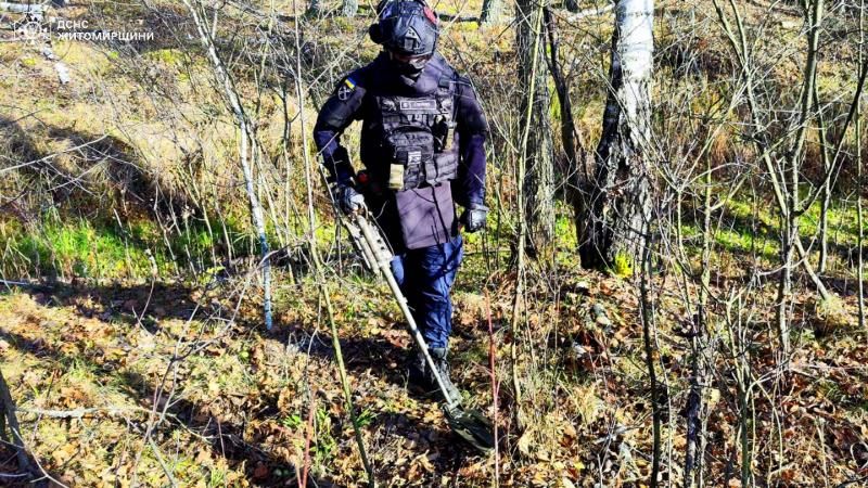 Поблизу одного з сіл Малинської громади грибники натрапили на мінометну міну