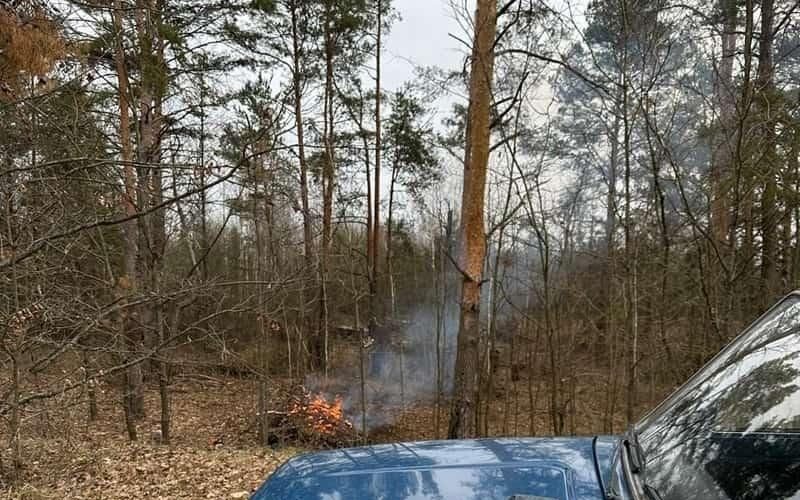 Біля села Коростенського району екологи виявили чоловіка, який розпалював вогонь поблизу лісу