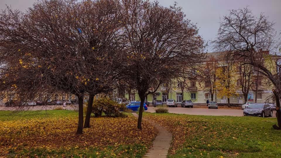 Середина листопада – що очікувати від погоди на вихідних у Коростені