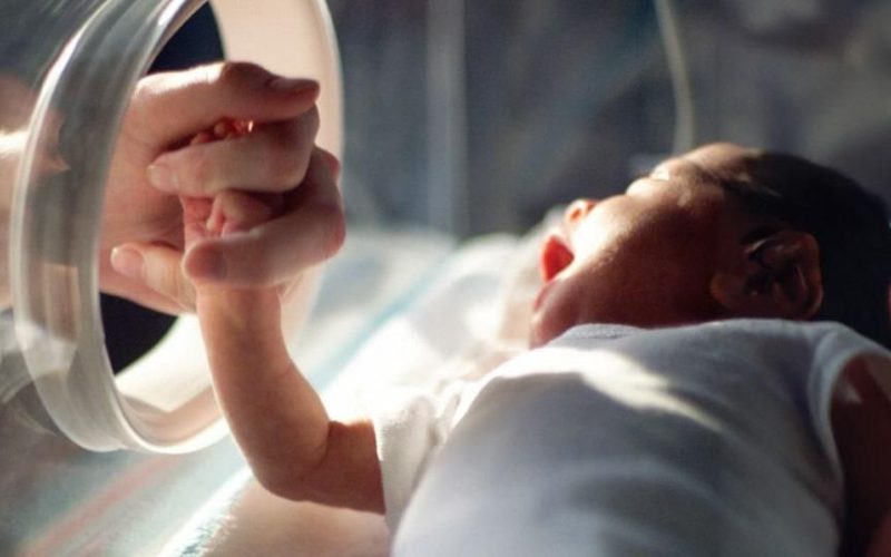 Житомирська область у лідерах за кількістю безоплатно наданих послуг передчасно народженим дітям