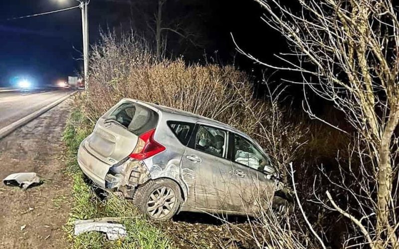 На Житомирщині легковик влетів у віз: загинув чоловік і кінь