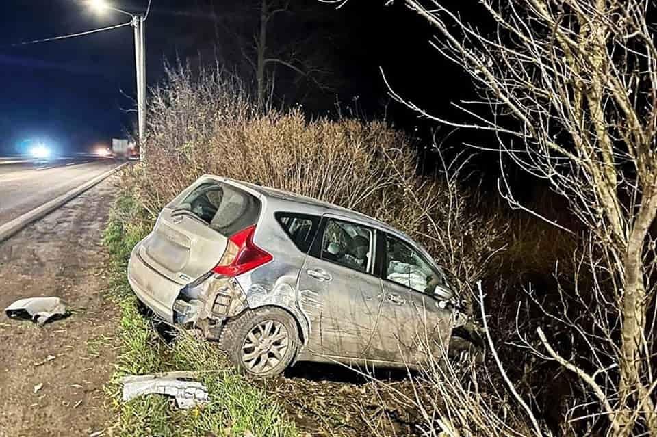 На Житомирщині легковик влетів у віз: загинув чоловік і кінь